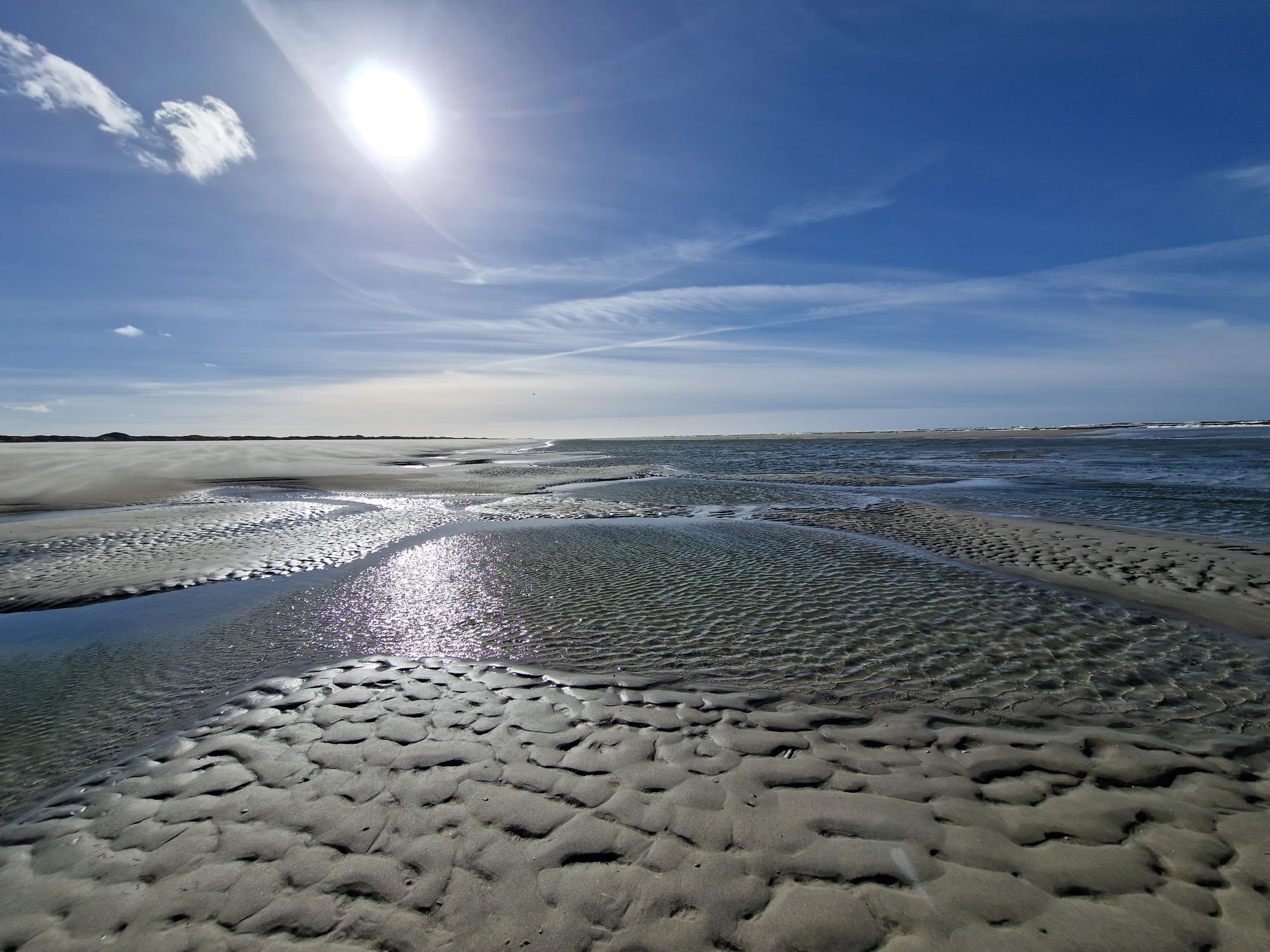 IMG-20240411-WA0230