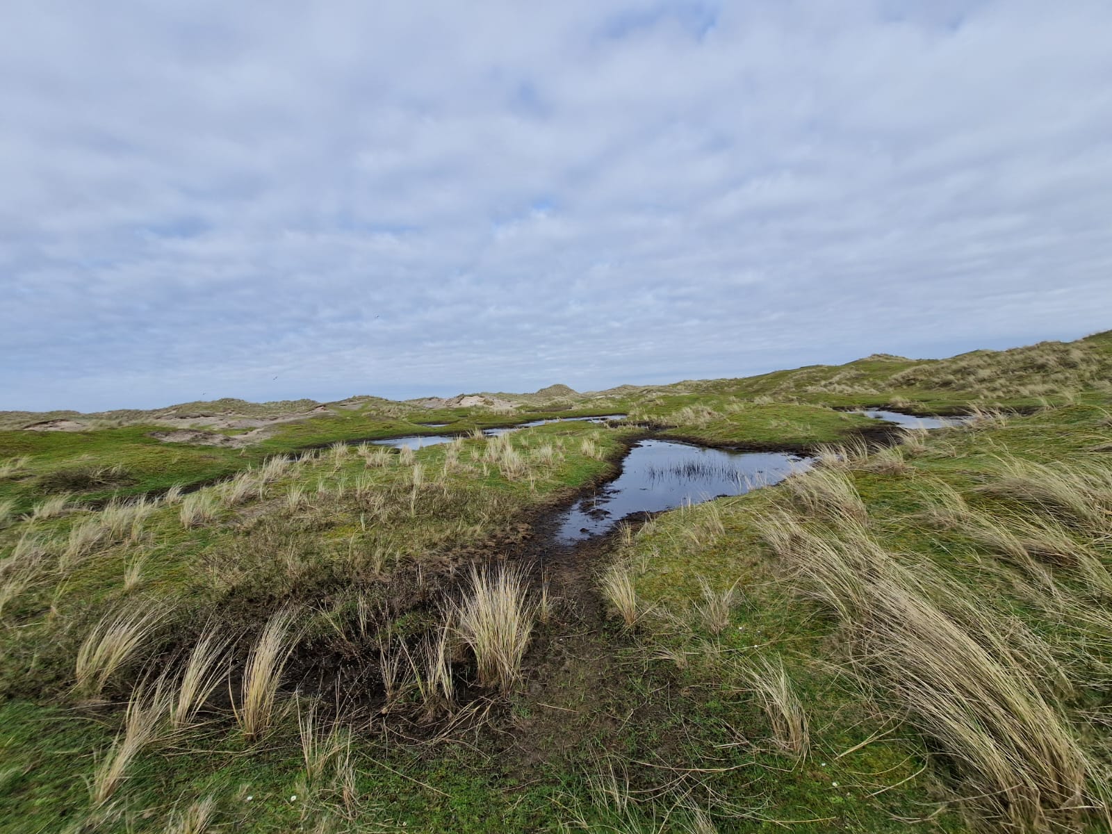 IMG-20240412-WA0132