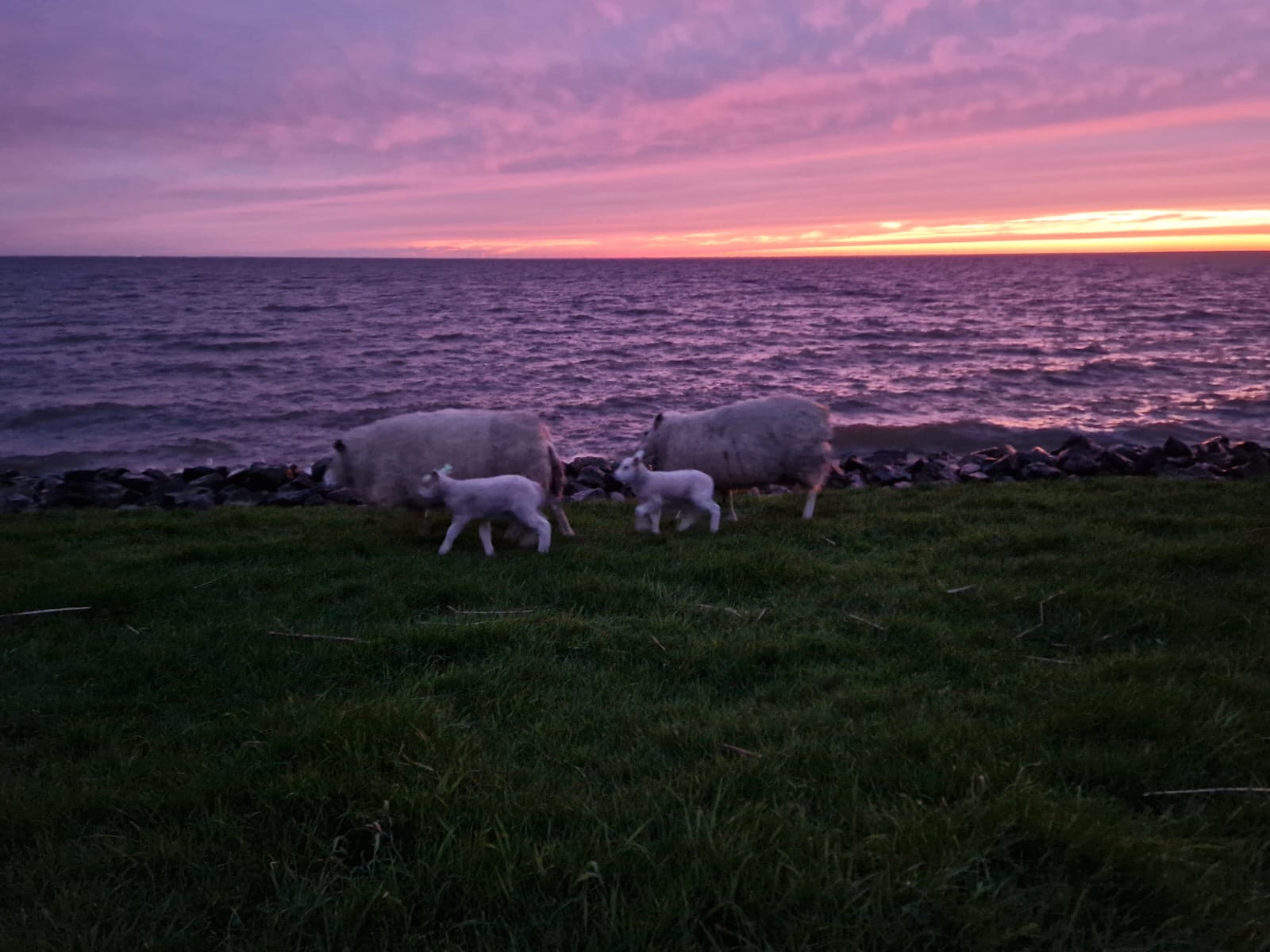 IMG-20240408-WA0032