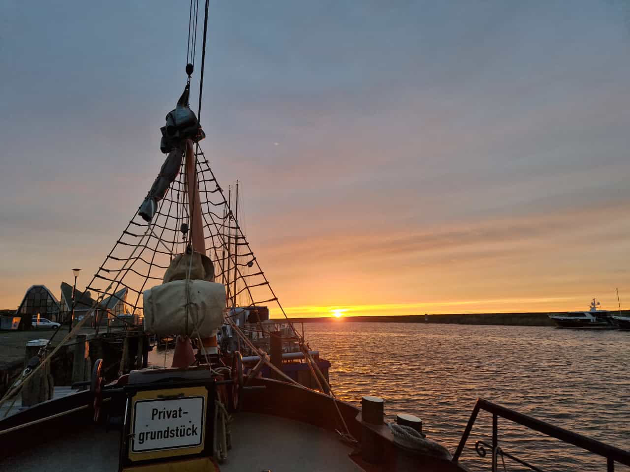 IMG-20240408-WA0051