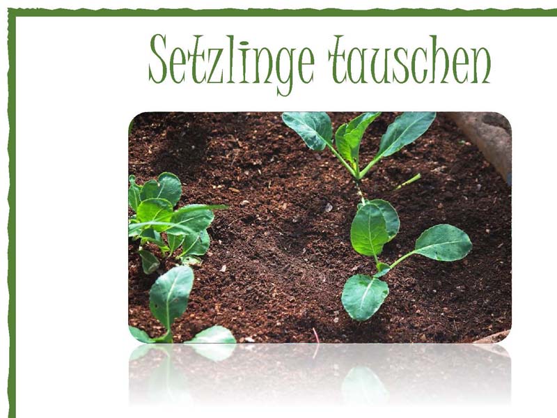 FG-Setzlinge-Tauschboerse-Flyer-2023-05-06