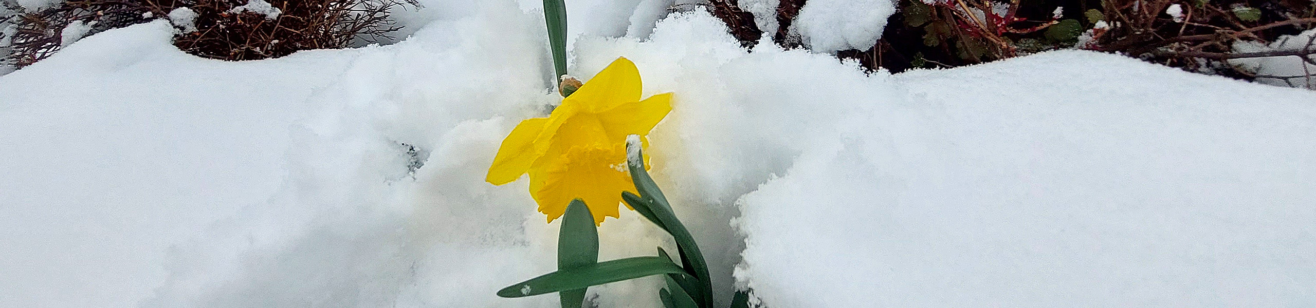Kirche Ennetmoos Aktuell Winter AbFeb Header 27a
