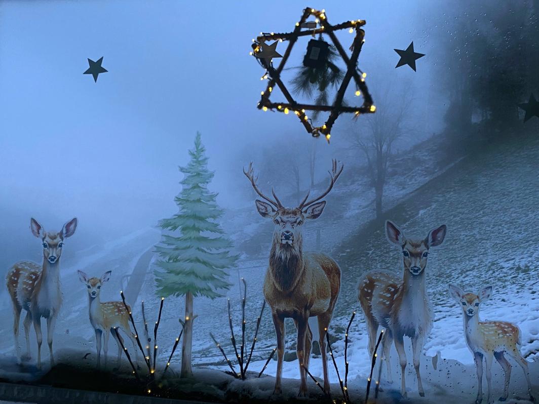 Pfarreiblatt 22 / 2025