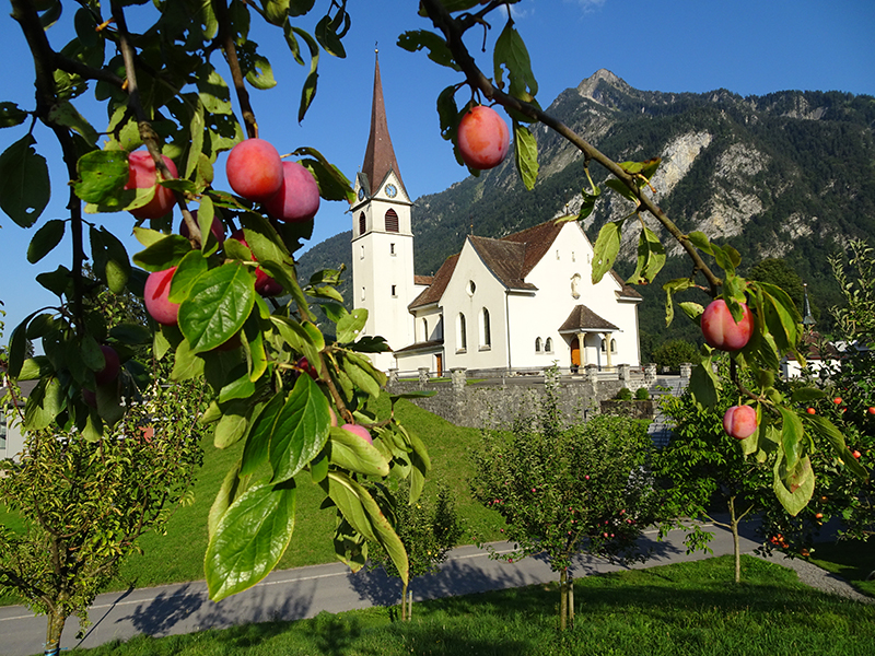GEMEINSCHAFTS garten