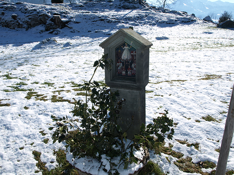 #3 Bieli, Mueterschwandenberg
